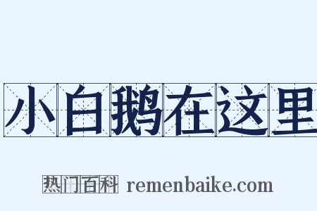 小白鹅在这里是什么意思的图片